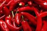 Obraz Papryczka chili - ognista czerwień
