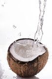 Obraz plusk kokosowy