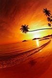 Obraz Tropikalna plaża o zachodzie słońca