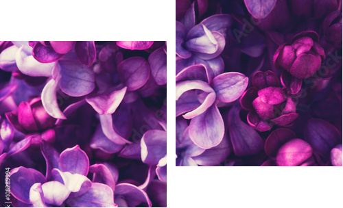 Tło kwiaty bzu - Obraz dwuczęściowy, Dyptyk