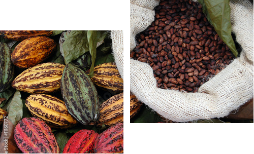 Kakao - Obraz dwuczęściowy, Dyptyk