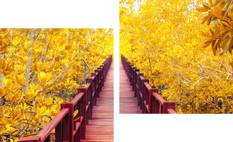 drewniany most - Obraz dwuczęściowy, Dyptyk