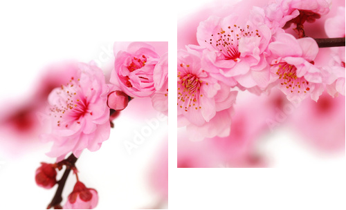 Słodycz koloru w odcieniach różu  - Obraz dwuczęściowy, Dyptyk