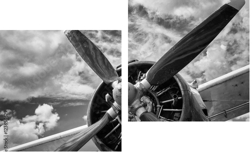 Zamyka up stary samolot w czarny i biały - Obraz dwuczęściowy, Dyptyk