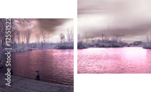 Panorama w podczerwieni - Obraz dwuczęściowy, Dyptyk