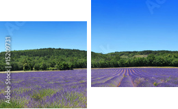 Panorama Prowansji - Obraz dwuczęściowy, Dyptyk