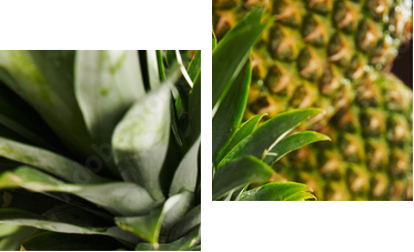 Plastry ananasa w stosie, szczegÃ³Å, studio, zbliÅ¼enie - Obraz dwuczęściowy, Dyptyk
