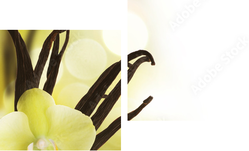 Wanilia - żółty kwiat  - Obraz dwuczęściowy, Dyptyk