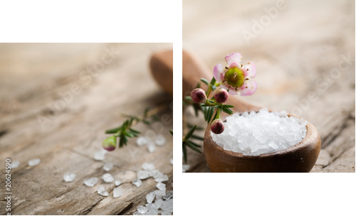 Sól do kąpieli - Obraz dwuczęściowy, Dyptyk