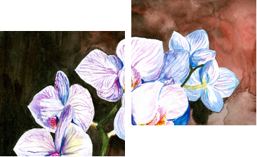 Orchid akwarela malowane. - Obraz dwuczęściowy, Dyptyk