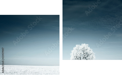 Urzekająca moc bieli – śnieżny krajobraz - Obraz dwuczęściowy, Dyptyk