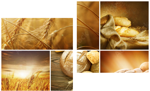 Pszenica Collage.Harvest koncepcje - Obraz dwuczęściowy, Dyptyk