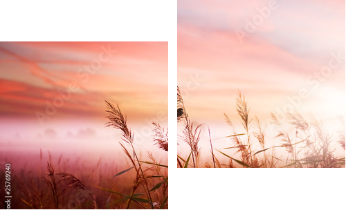Foggy Landscape.Early Morning Mist. - Obraz dwuczęściowy, Dyptyk