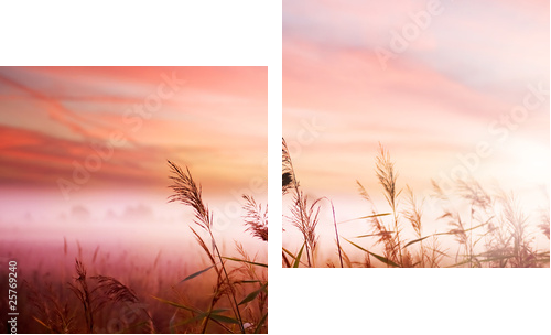 Czerwona polana osnuta mleczną mgłą - Obraz dwuczęściowy, Dyptyk