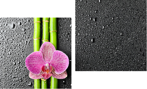 Kwiat w kroplach deszczu - Obraz dwuczęściowy, Dyptyk
