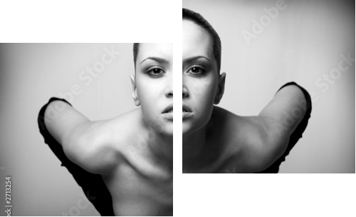 portret piękna. seksowna dziewczyna mody. - Obraz dwuczęściowy, Dyptyk