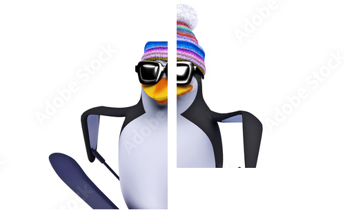 Sporty zimowe - pingwin na nartach - Obraz dwuczęściowy, Dyptyk