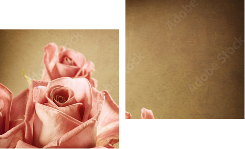 Piękne różowe róże. Vintage w stylu. Sepia toned - Obraz dwuczęściowy, Dyptyk