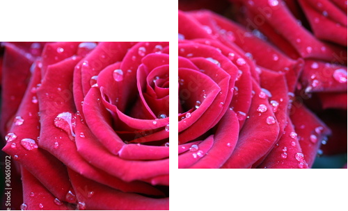 Czerwona róża z rosą - Obraz dwuczęściowy, Dyptyk