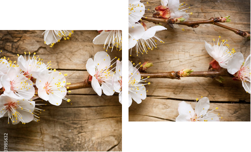 Drewniany tło z wiosny okwitnięciem - Obraz dwuczęściowy, Dyptyk