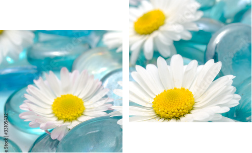 Kwiaty Daisy na Blue Glass Stones - Obraz dwuczęściowy, Dyptyk