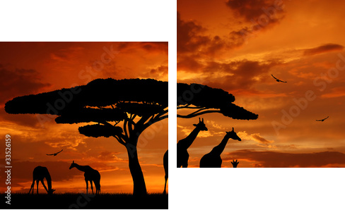 Stado żyraf w blasku zachodzącego słońca - Obraz dwuczęściowy, Dyptyk