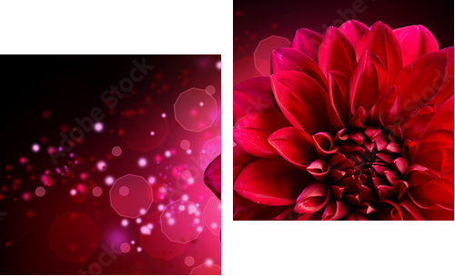 Projekt kwiat Dahlia Autumn - Obraz dwuczęściowy, Dyptyk