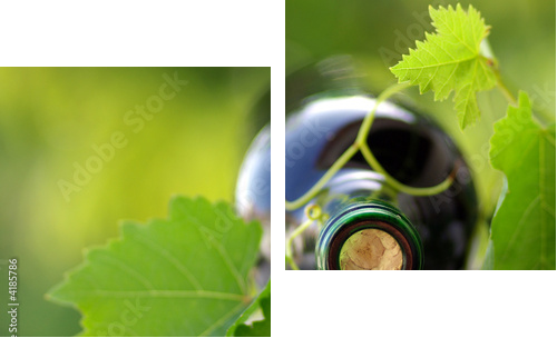 Butelka wina opleciona winoroślą - Obraz dwuczęściowy, Dyptyk