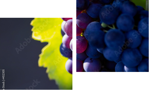 Dojrzałe winogrona w blasku słońca - Obraz dwuczęściowy, Dyptyk