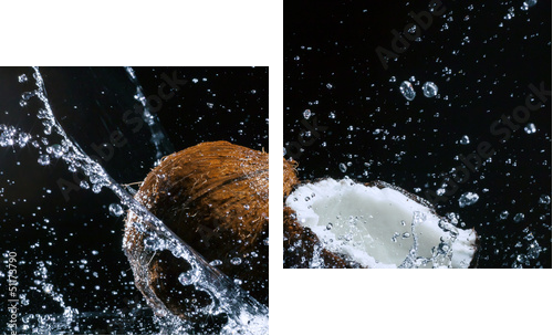 pęknięty orzech kokosowy - Obraz dwuczęściowy, Dyptyk