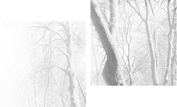 Czerwona ławka na puchowej śnieżnej kołdrze - Obraz dwuczęściowy, Dyptyk