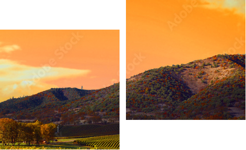 Włoska winnica skąpana w promieniach słońca - Obraz dwuczęściowy, Dyptyk