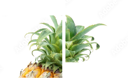 Ananasy odizolowywający na bielu - Obraz dwuczęściowy, Dyptyk