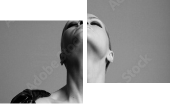 naga elegancka dziewczyna z rękawiczkami. Fotografia mody studyjnej. - Obraz dwuczęściowy, Dyptyk