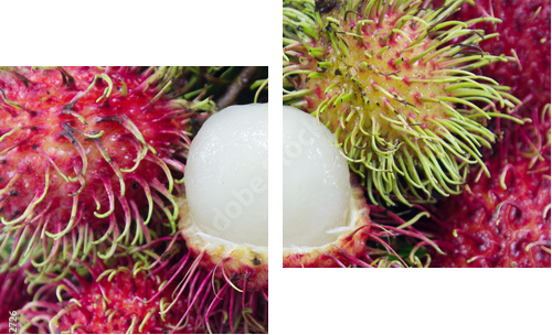 Owoce Rambutan - Obraz dwuczęściowy, Dyptyk