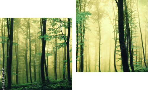 Magiczny zielony kolor lasu - Obraz dwuczęściowy, Dyptyk