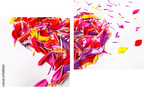 serce koncepcji płatków kwiatów na białym tle - Obraz dwuczęściowy, Dyptyk