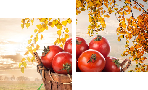 Dojrzałe pomidory - Obraz dwuczęściowy, Dyptyk