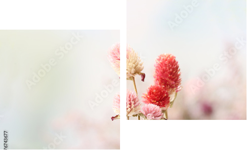 Piękni wysuszeni kwiaty na jaskrawym tle - Obraz dwuczęściowy, Dyptyk