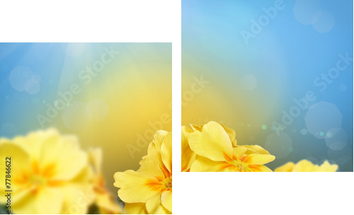Żółte kwiaty na tle przyrody - Obraz dwuczęściowy, Dyptyk