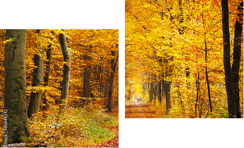 Las jesienią - Obraz dwuczęściowy, Dyptyk