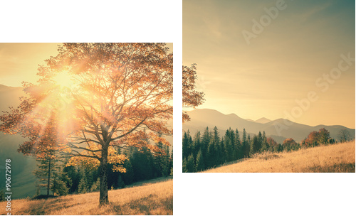 Jesieni drzewa i sunbeam dnia ciepły krajobraz tonujący w roczniku - Obraz dwuczęściowy, Dyptyk