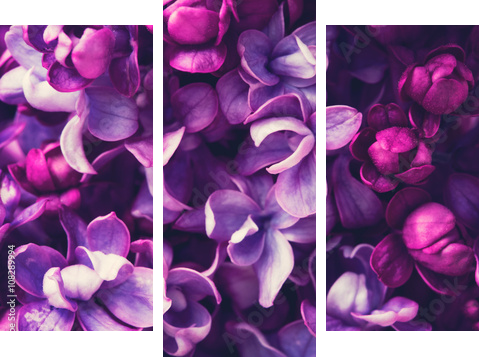 Tło kwiaty bzu - Obraz trzyczęściowy, Tryptyk