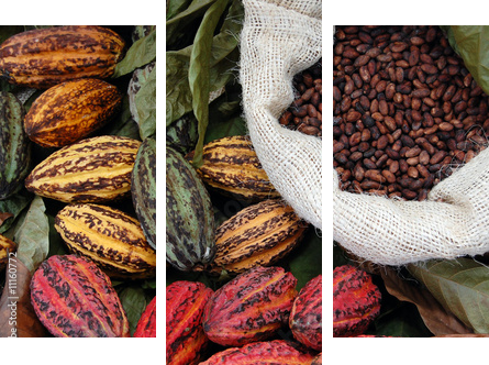 Kakao - Obraz trzyczęściowy, Tryptyk