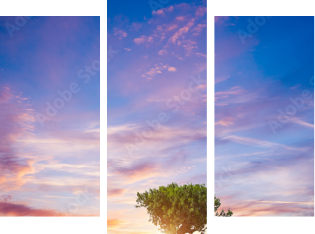 Błękitne niebo nad lawendowym polem - Obraz trzyczęściowy, Tryptyk