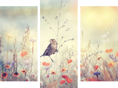 Pole z dzikimi kwiatami i ptakiem - Obraz trzyczęściowy, Tryptyk