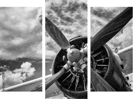 Zamyka up stary samolot w czarny i biały - Obraz trzyczęściowy, Tryptyk