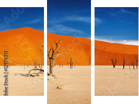 Pustynia Namib, Sossusvlei, Namibia - Obraz trzyczęściowy, Tryptyk