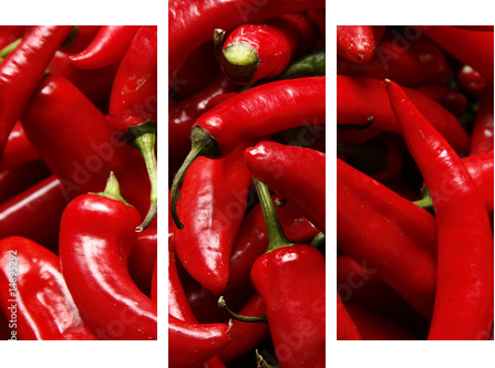 Papryczka chili - ognista czerwień - Obraz trzyczęściowy, Tryptyk