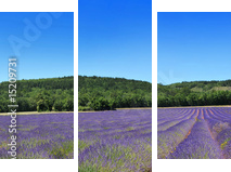 Panorama Prowansji - Obraz trzyczęściowy, Tryptyk